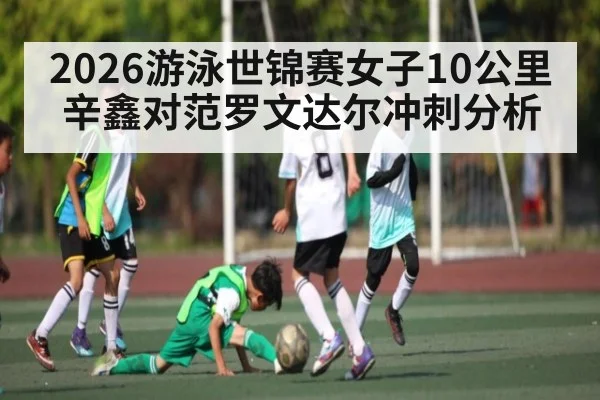 2026游泳世锦赛女子10公里辛鑫对范罗文达尔冲刺分析